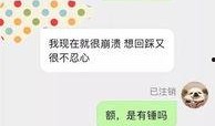 视频投稿爆料入口,一键掌握热门资讯新动向